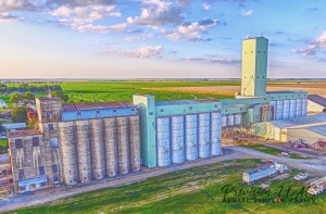 Carlisle, AR | Stratton Seed 